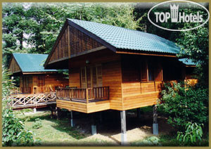 Фото Borneo Rainforest Lodge