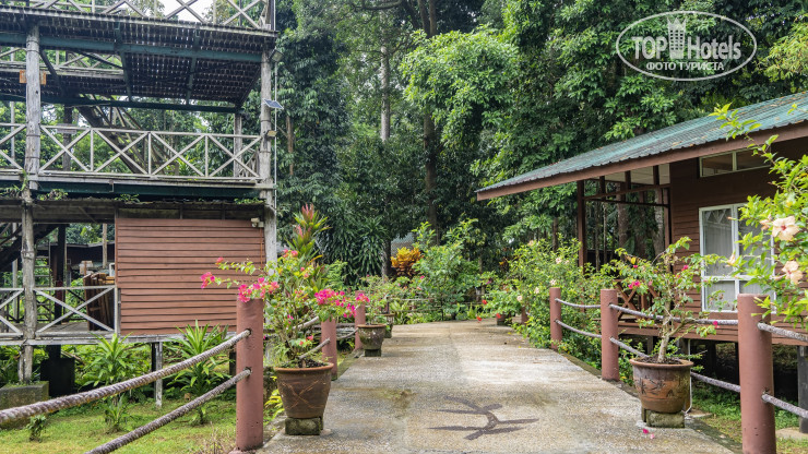 Фото Borneo Nature Lodge